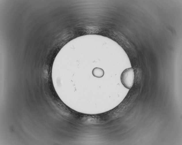 X0000110860655200907301353