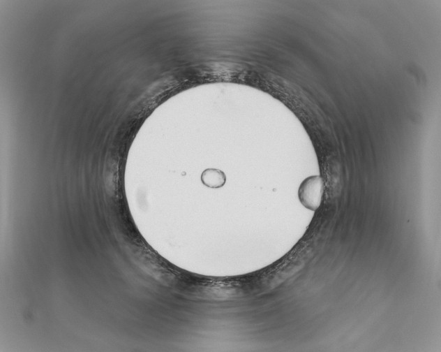 X0000110860656200907301353
