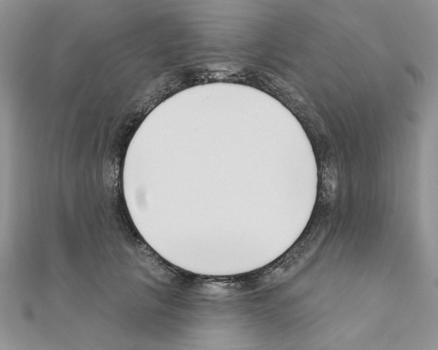X0000110860657200907301353