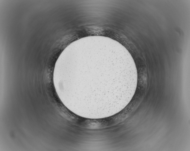 X0000110860658200907301353