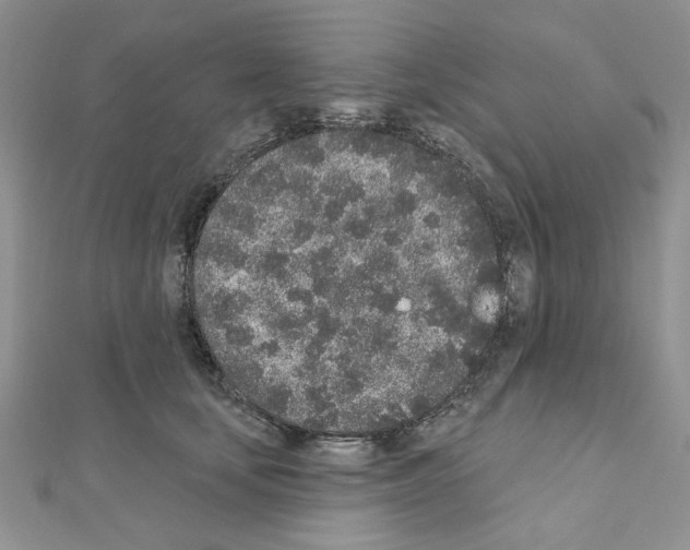 X0000110860659200907301353