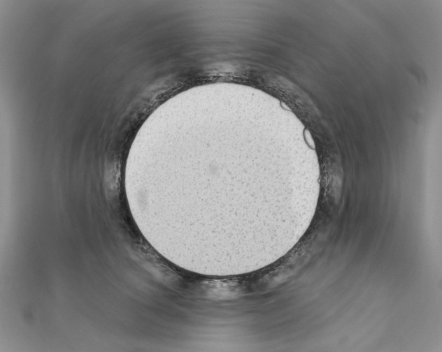 X0000110860660200907301353