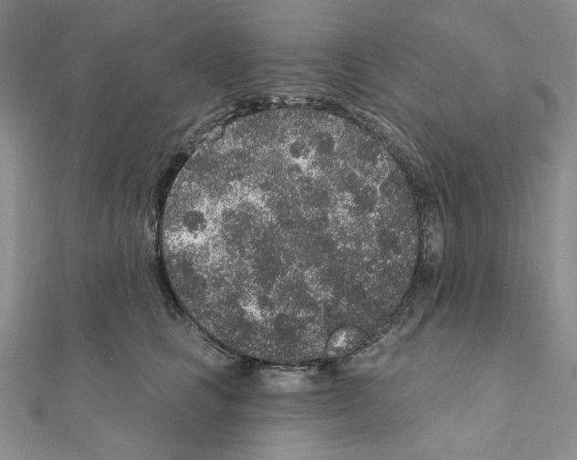 X0000110860661200907301353