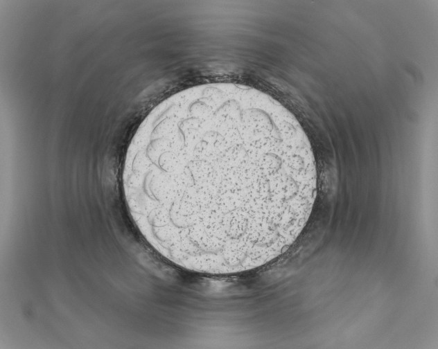 X0000110860662200907301353