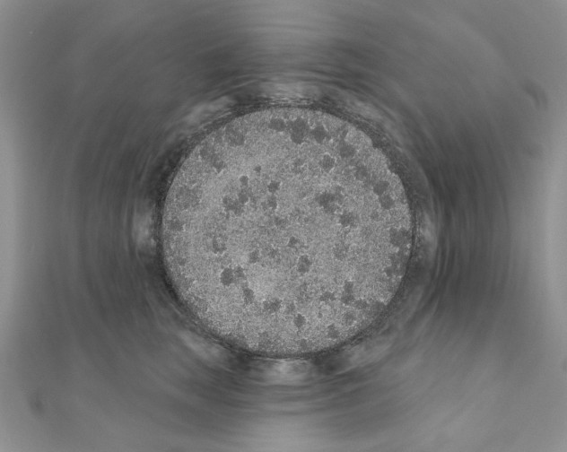 X0000110860663200907301353