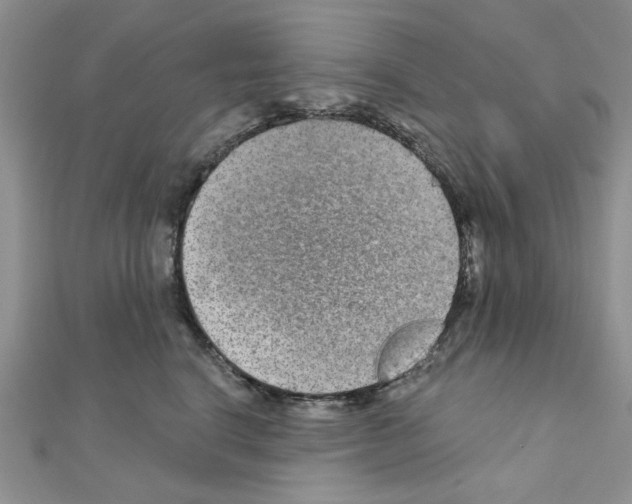 X0000110860664200907301353
