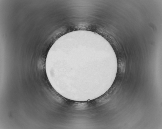 X0000110860665200907301353