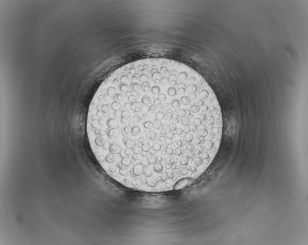X0000110860666200907301353