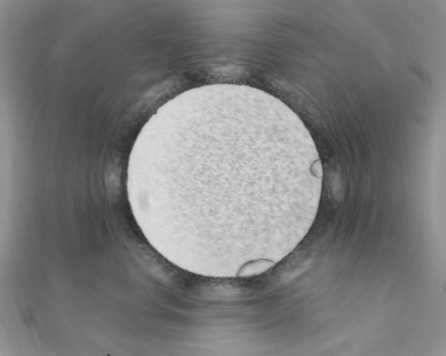 X0000110860668200907301353