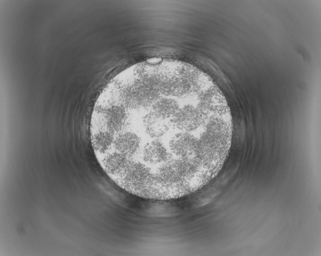 X0000110860669200907301353