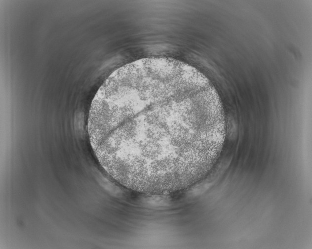 X0000110860670200907301353