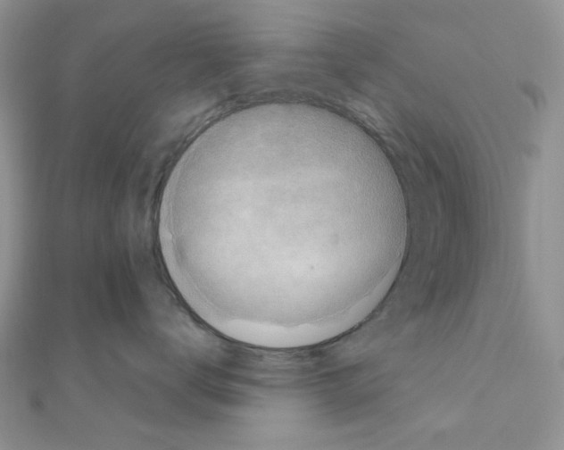 X0000110860672200907301353