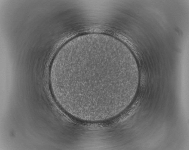 X0000110860673200907301352
