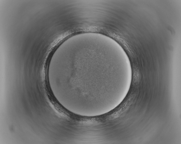 X0000110860674200907301352