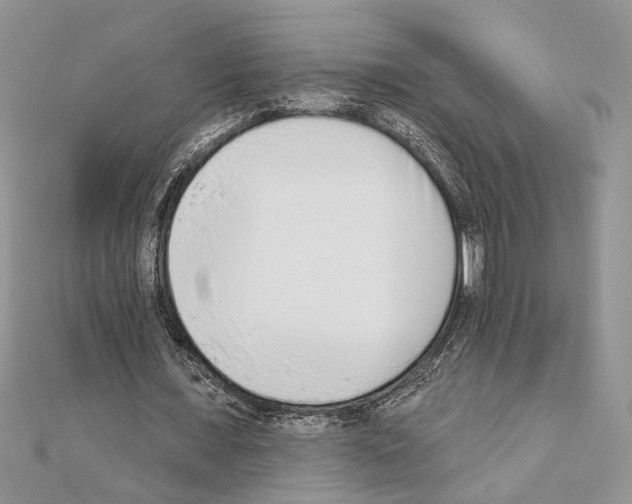 X0000110860675200907301352