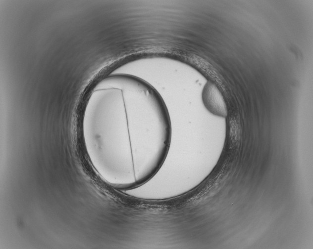 X0000110860676200907301352