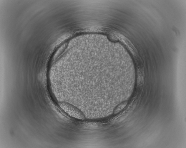 X0000110860677200907301352