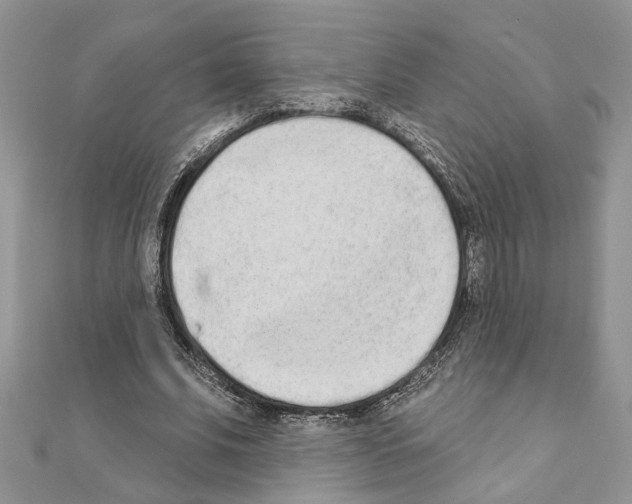 X0000110860679200907301352