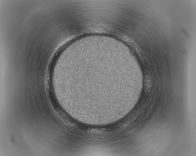 X0000110860680200907301352