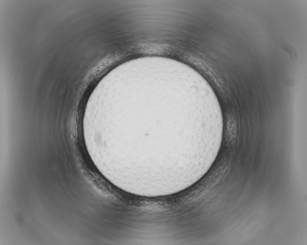 X0000110860682200907301352