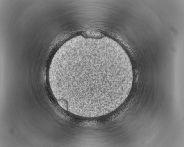 X0000110860685200907301352