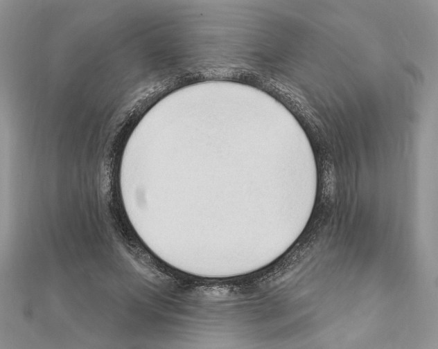 X0000110860687200907301352