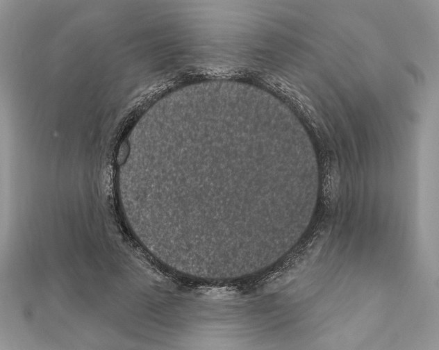 X0000110860689200907301352