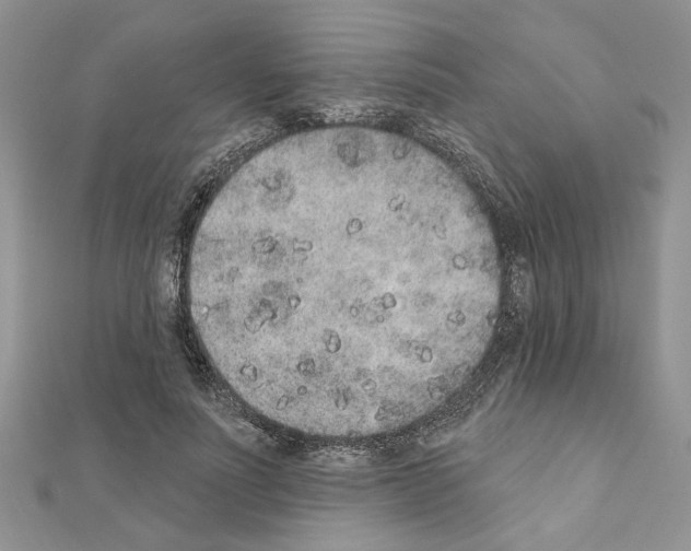 X0000110860691200907301352