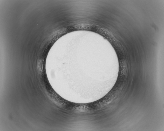 X0000110860695200907301352