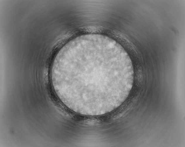 X0000110860696200907301352