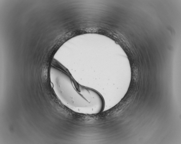 X0000110860697200907301352