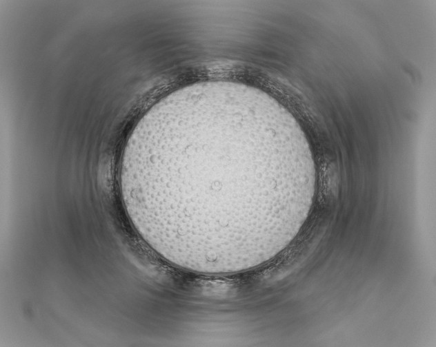 X0000110860698200907301352