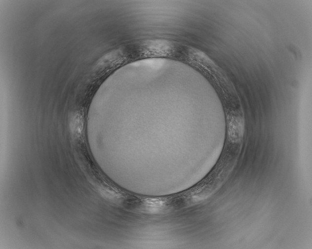 X0000110860701200907301352