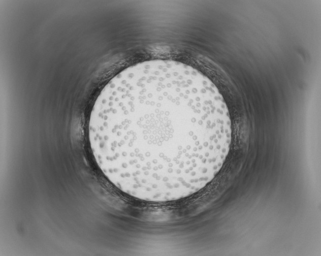 X0000110860702200907301352