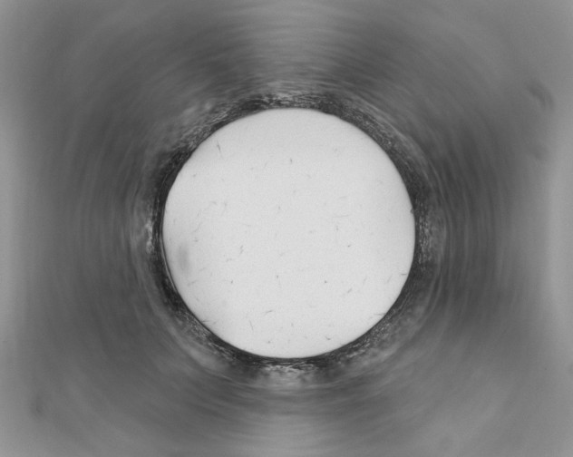 X0000110860703200907301352