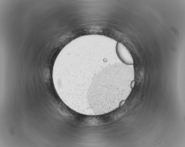 X0000110860704200907301352