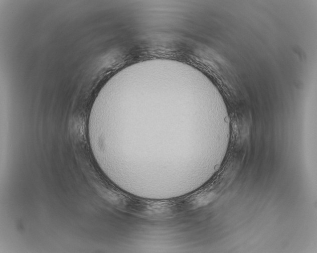 X0000110860705200907301352