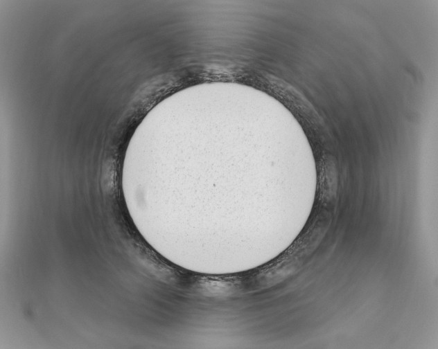X0000110860706200907301352