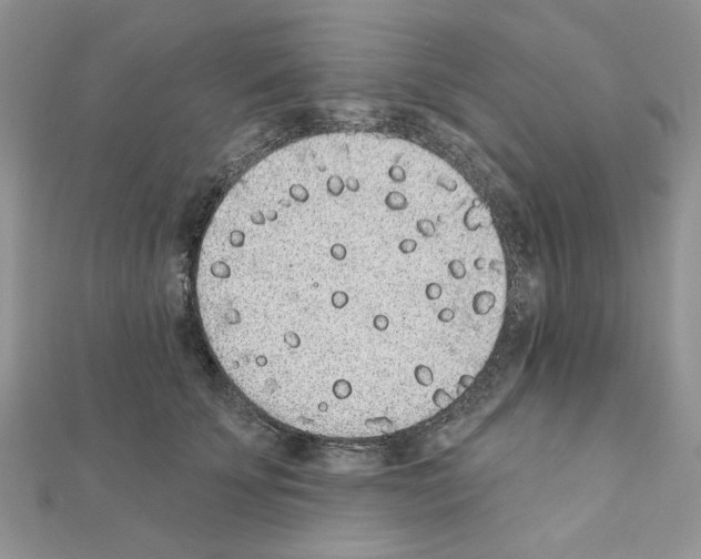 X0000110860707200907301352