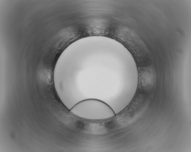 X0000110860709200907301352