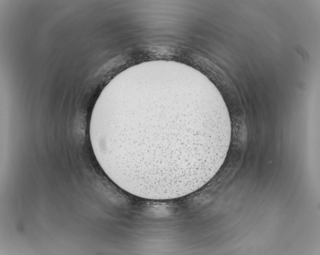 X0000110860710200907301352