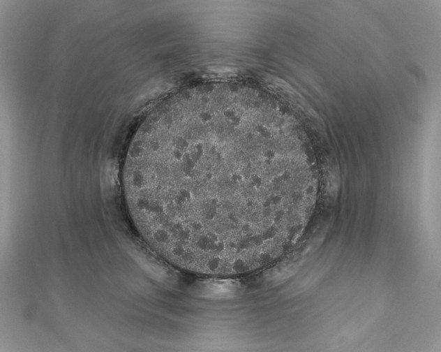 X0000110860711200907301352