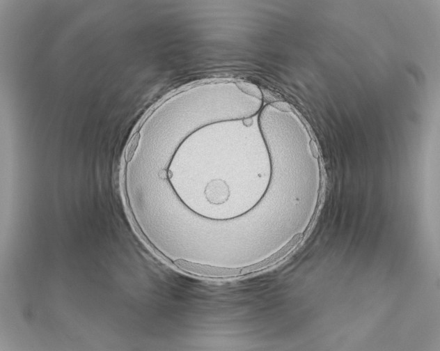 X0000110860712200907301352