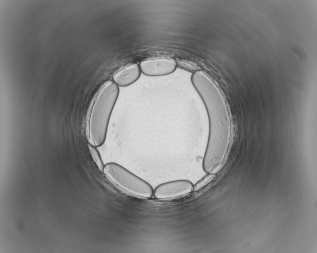 X0000110860713200907301352