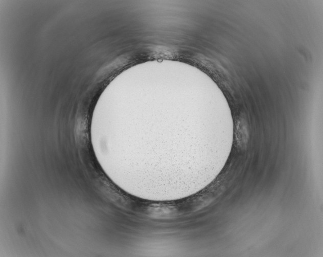 X0000110860714200907301352