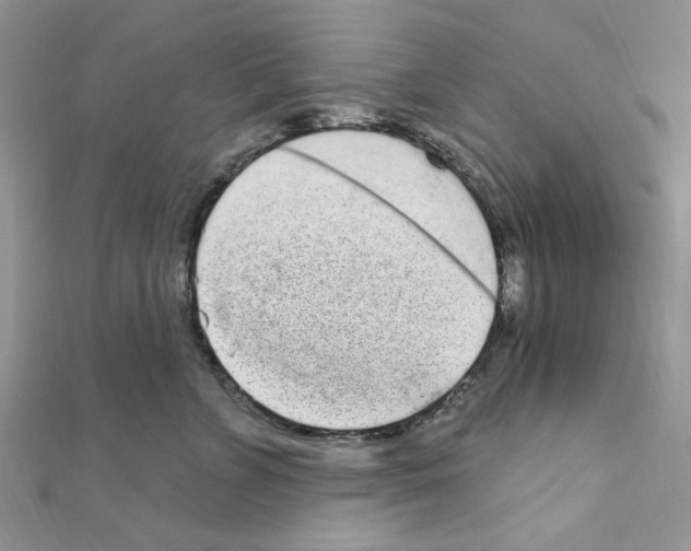 X0000110860715200907301352