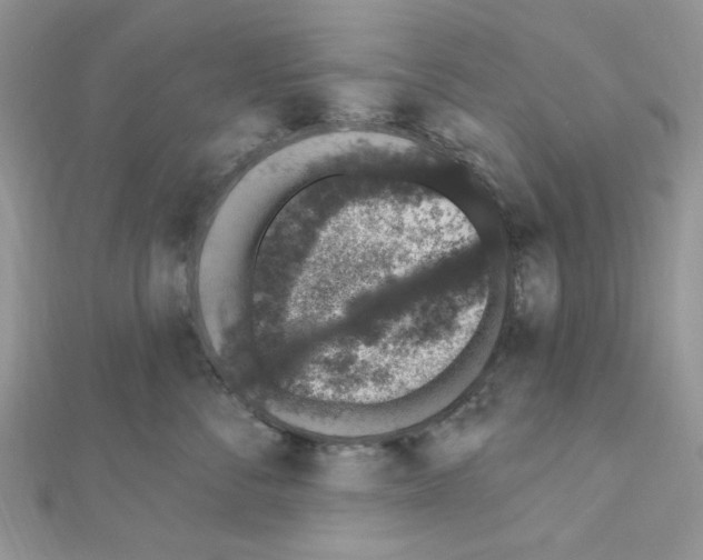 X0000110860716200907301352