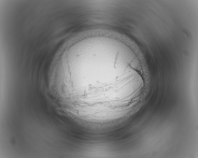 X0000110860717200907301352