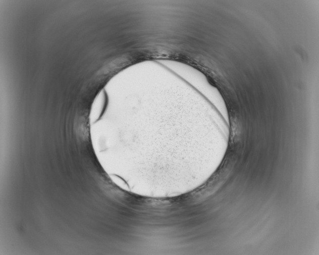 X0000110860719200907301352