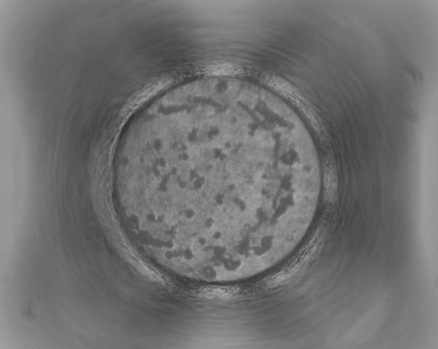 X0000110860721200907301351